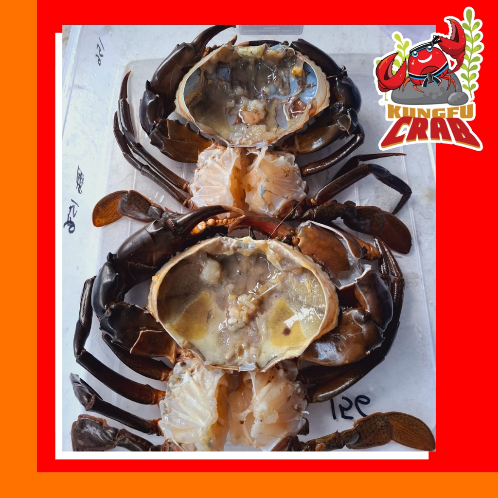 

KUNGFUCRAB Kepiting Hidup Jantan Daging Tebal Garansi Farm Fresh Masak