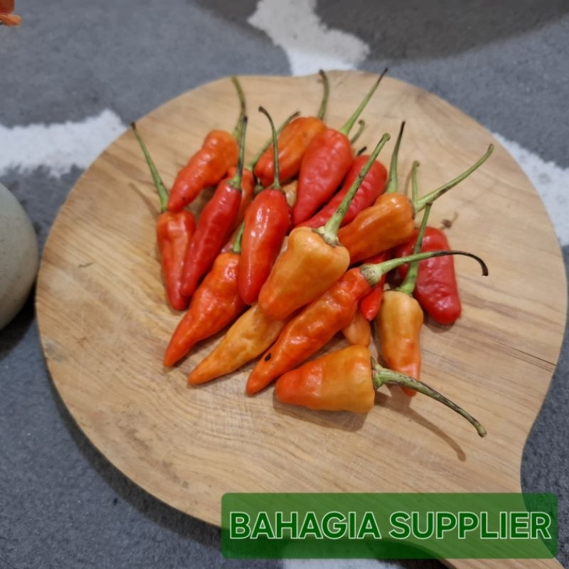 

Cabe Rawit Merah 100gr / 250gr / 500gr / 1kg