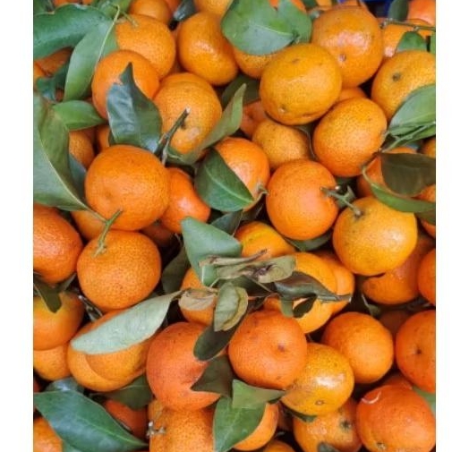 

jeruk santang 1kg