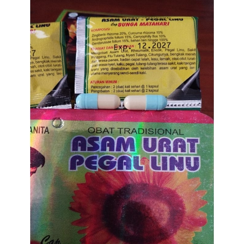 

Asam Urat Pegal Linu Minggat