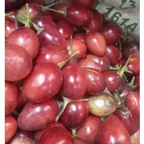 

terong belanda 500g