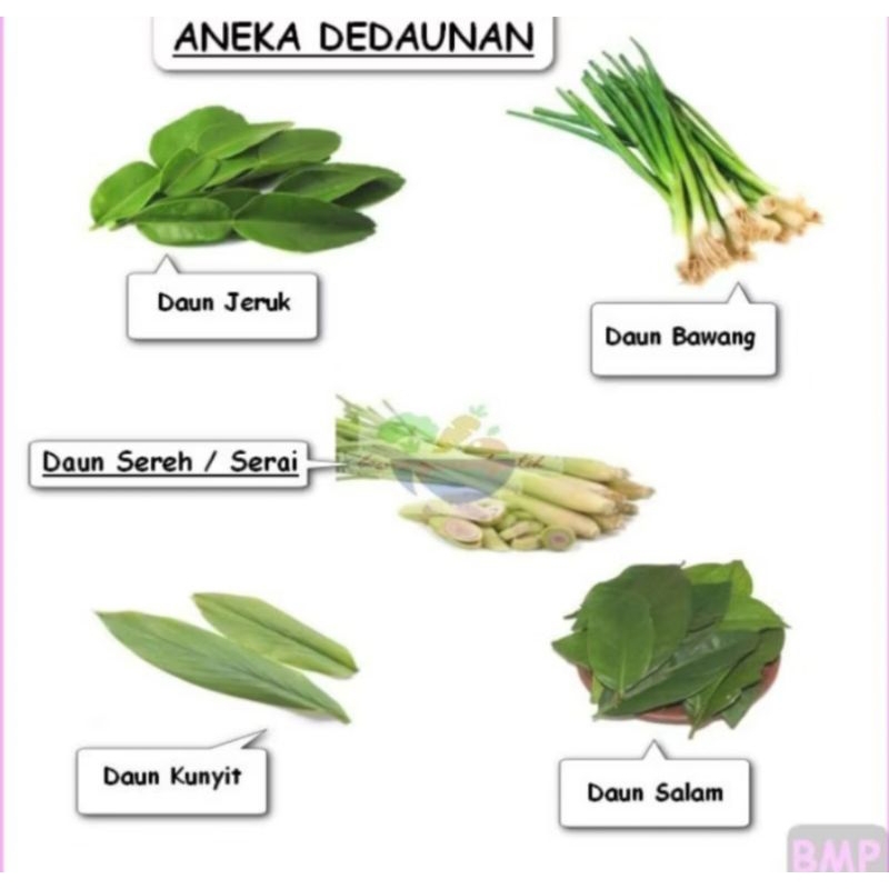 

Daun kemangi/ daun saledri/ daun sop/daun kunyit/ daun salam/ daun bawang/ daun jeruk/ daun pandan