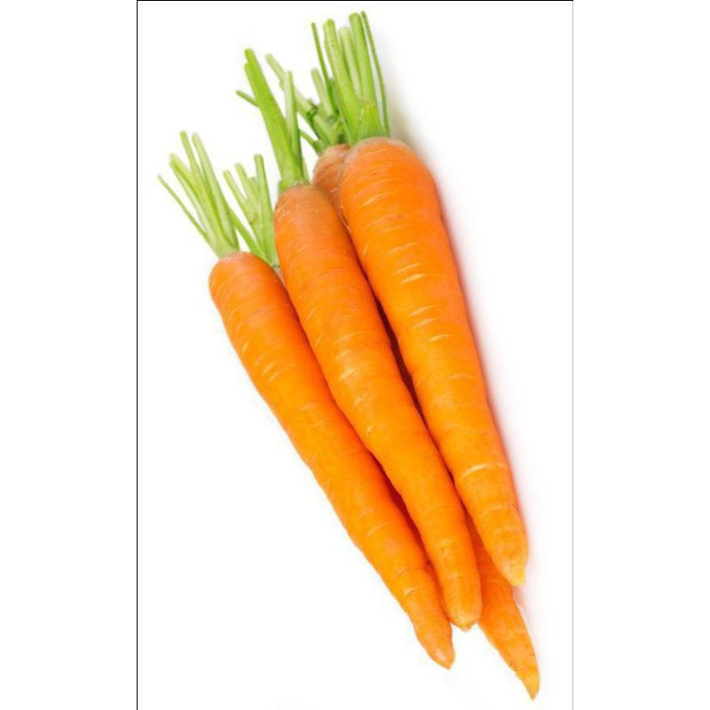 

Wortol Fresh Carot 1Kg