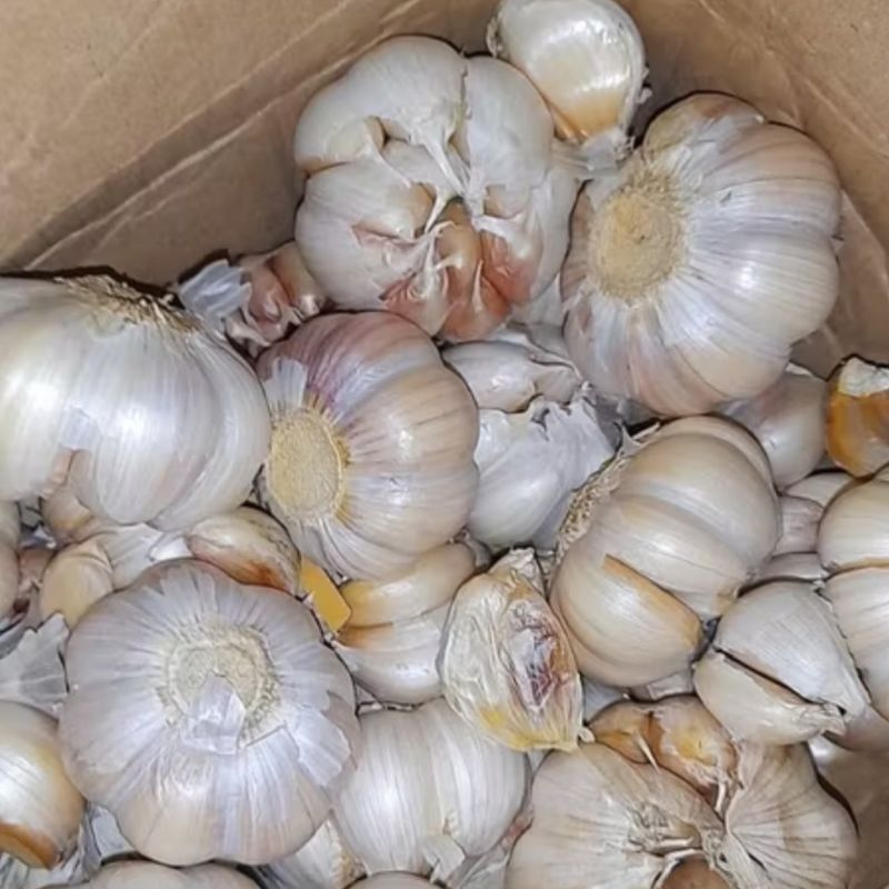 

Bawang Putih Honan 1 kg Bawang Putih Bulat Bersih