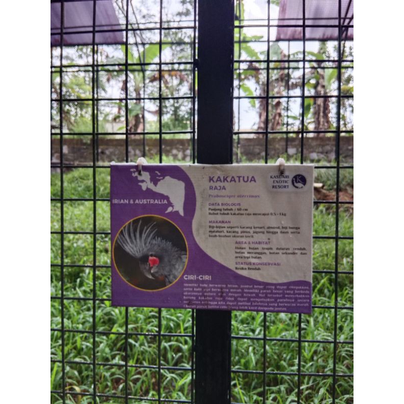 seragam santriwati gontor putri