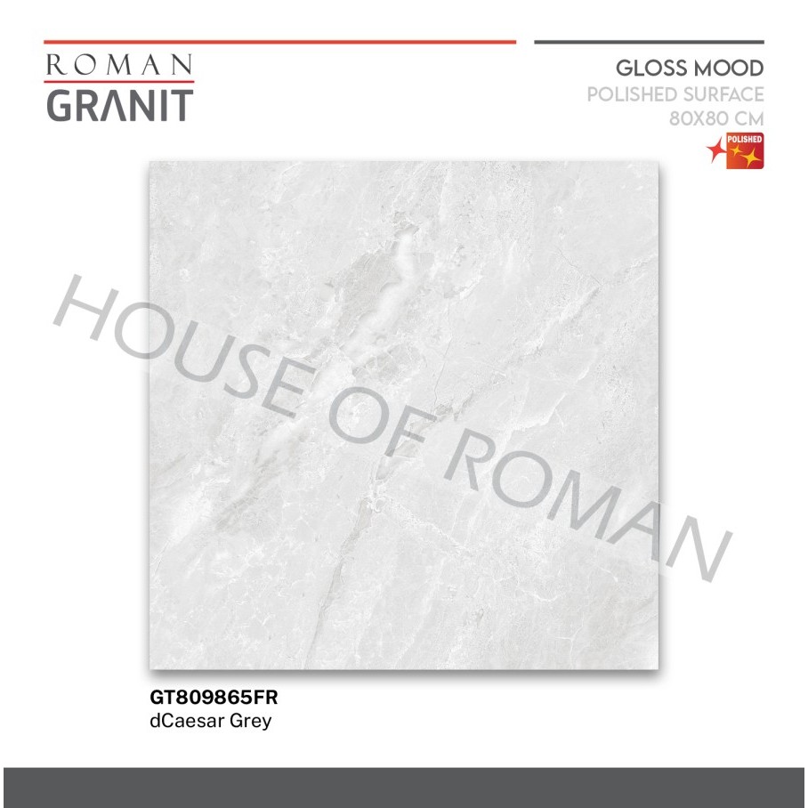 ROMAN GRANIT dCaesar Grey 80x80 GT809865FR ROMAN GRANIT