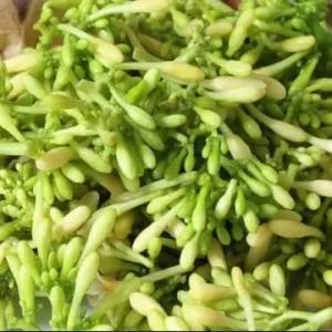 

Kembang Pepaya Per Pack