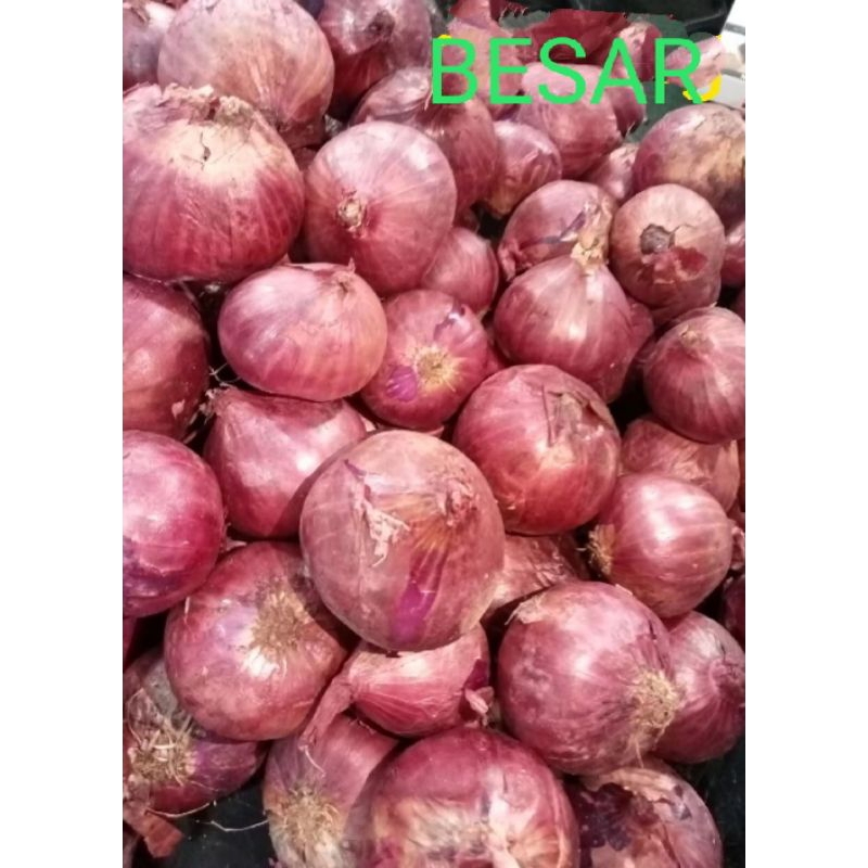 

Bawang Merah Bawang 1Kg Murah