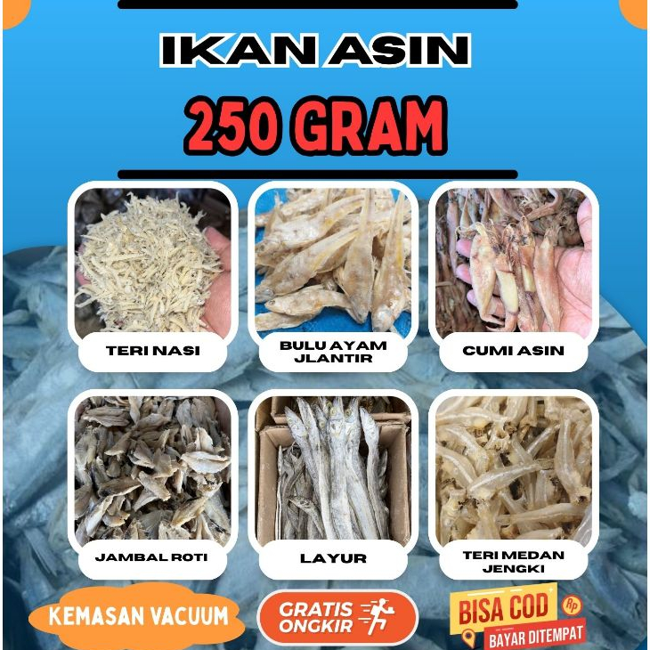 

[Kemasan Vakum] Ikan Asin Serba 250gr BEST SELLER
