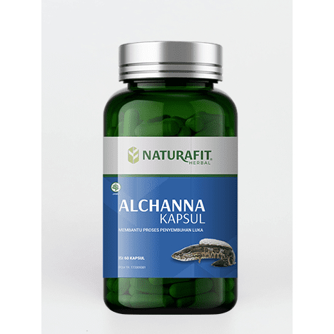 

NATURAFIT Alchanna - Ekstrak Ikan Gabus Untuk Penyembuhan Luka Pasca Operasi Luka Kering Lebih Cepat
