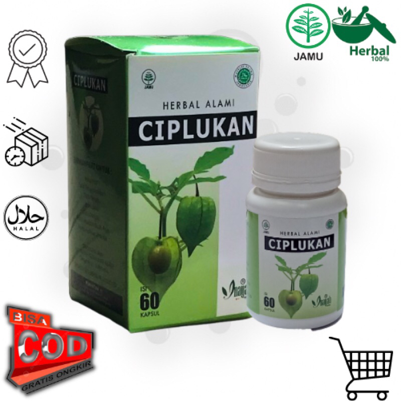 Kapsul Daun Ciplukan