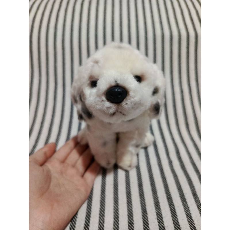 boneka dalmatian wans alfa