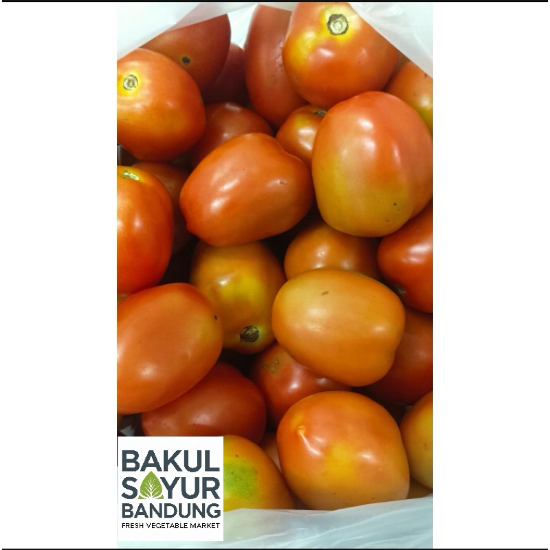 

Tomat Merah