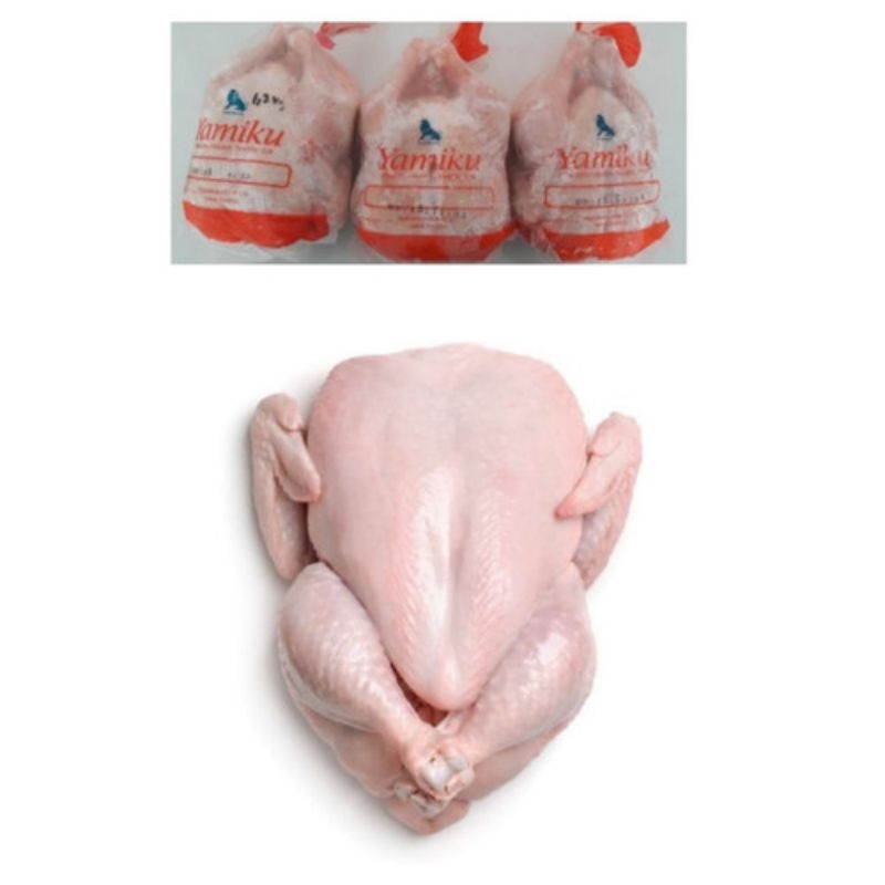 

Ayam Karkas Broiler UK 800 900 Utuh