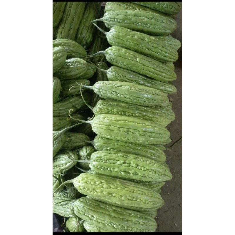 

PARE SEGAR 1KG