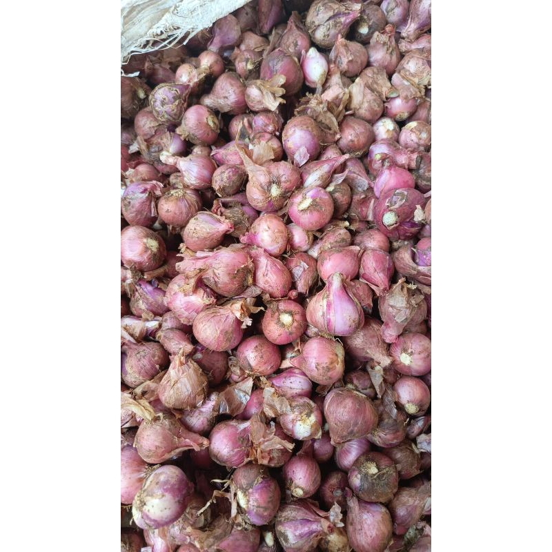 

bawang merah murah 1kg flashsale murah meriah lokal termurah diskon berkualitas
