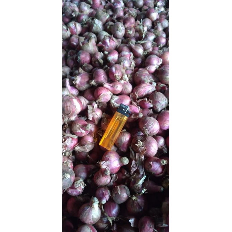 

bawang merah murah 1kg termurah flash sale termurah diskon bawang merah import vietnam