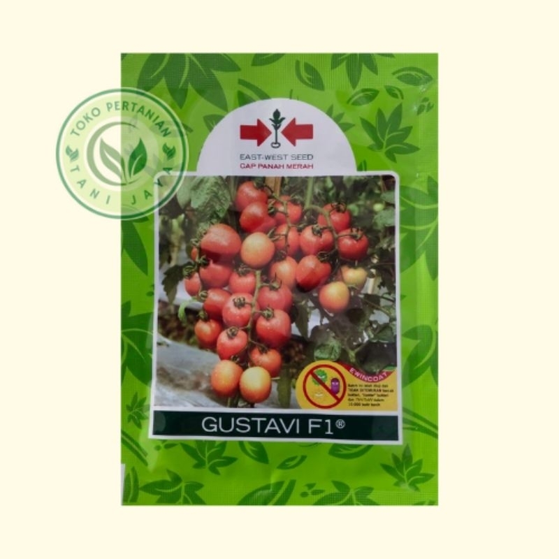 Benih Bibit Tomat GUSTAVI F1 Panah Merah