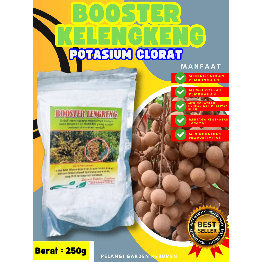 DIJAMIN ASLI  Boster Kelengkeng Puangray, Boster Kelengkeng Puangphet