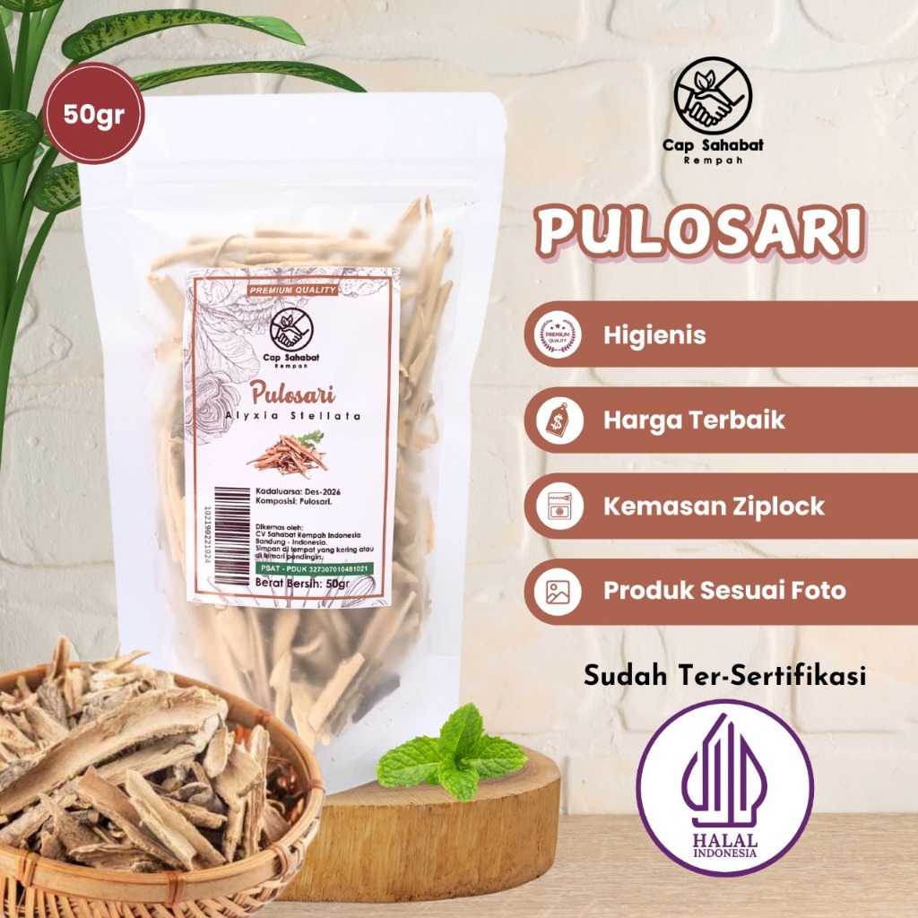 

100gr Pulosari / Adas Pulosari / Alyxia Stellata / Rempah / JSR 100% PREMIUM QUALITY