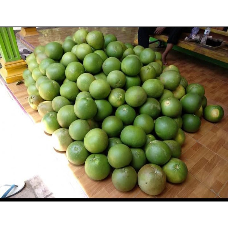 

jeruk pamelo madu manis tanpa biji 10kg isi10