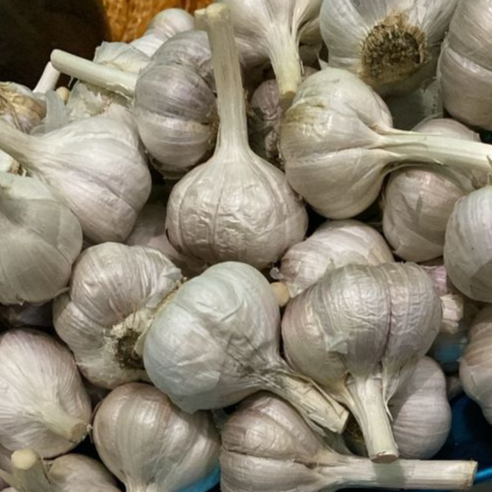 

Geene Bawang Putih Kating 125 gr - Sayur Online Sidoarjo