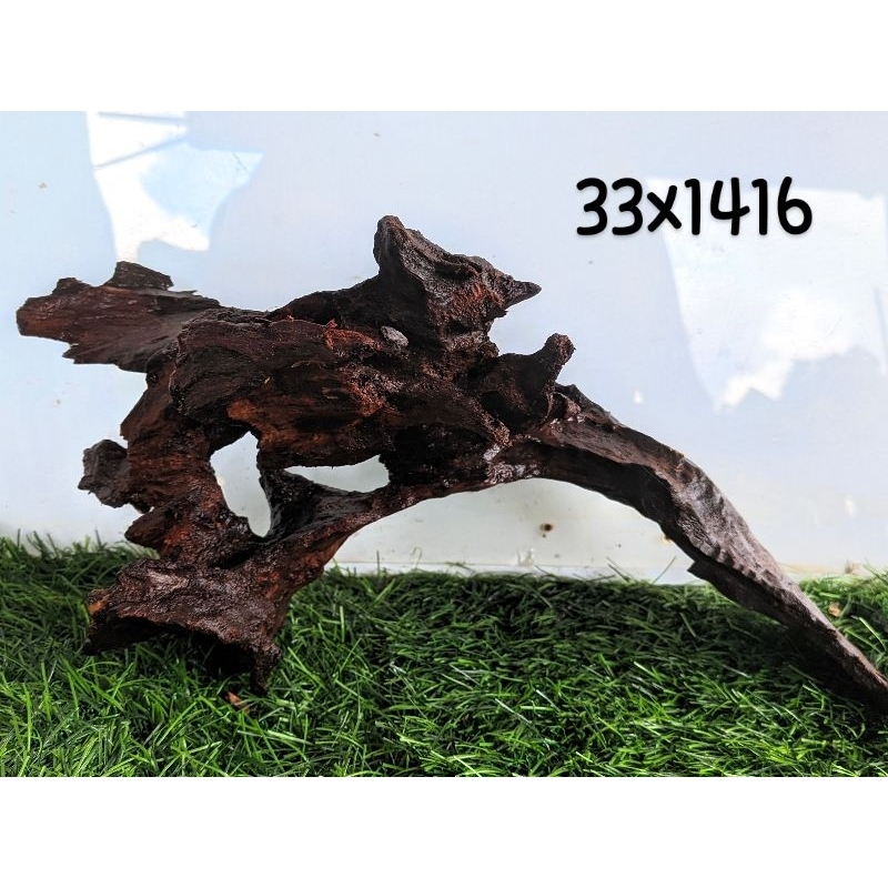 kayu rentek aquascape sudah tenggelam