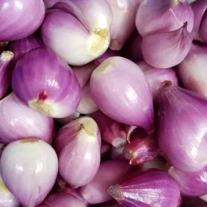 

bawang merah kupas 1 kg