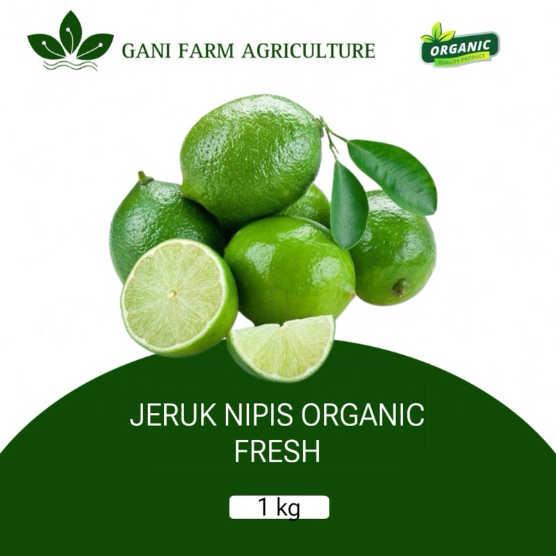 

Jeruk Nipis Organik 1 Kg – ORGANIC SUPER FRESH, Dipetik Setelah PemesananH
