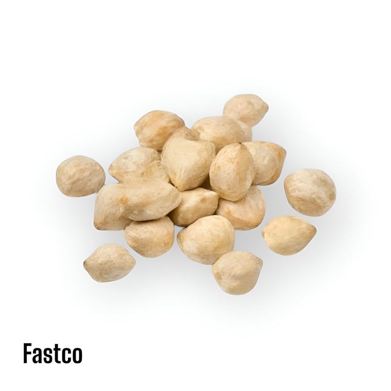 

MUNCANG KEMIRI BIJI UKURAN 1 KG