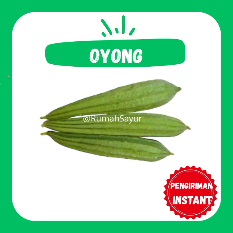 

[KIRIM INSTANT] OYONG 220-250gr - RUMAH SAYUR