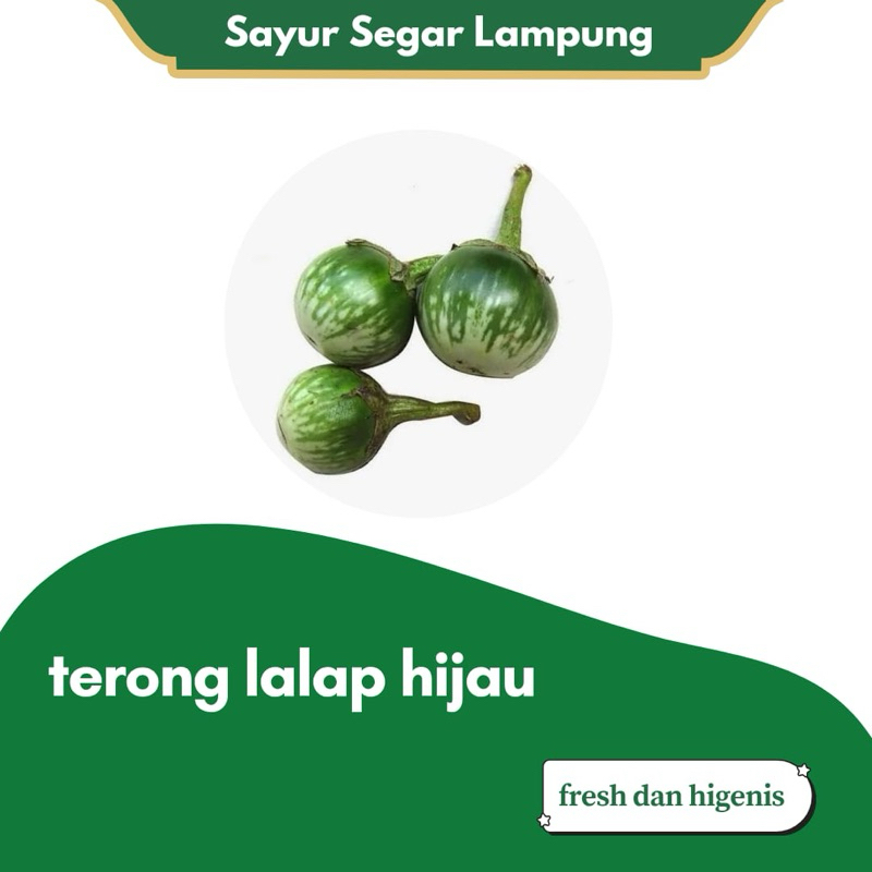 

Terong Lalap Segar 250 500 gram