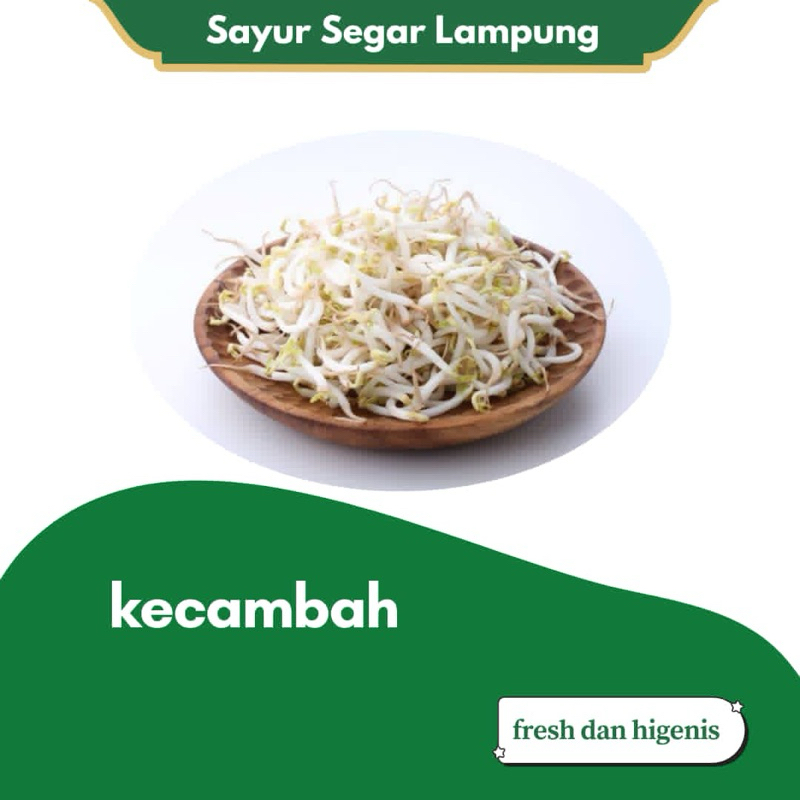 

Toge Kecambah Tauge Cambah Panjang Segar 500 gram