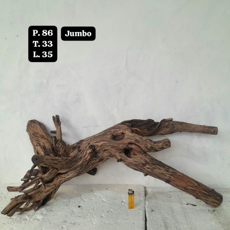 Kayu Aquascape - Kayu Santigi (Besar)