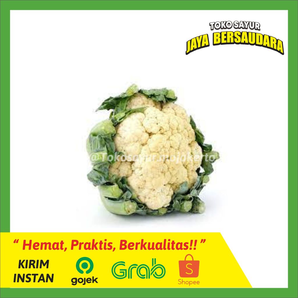 

Bunga Kol Segar - Tokosayurjb