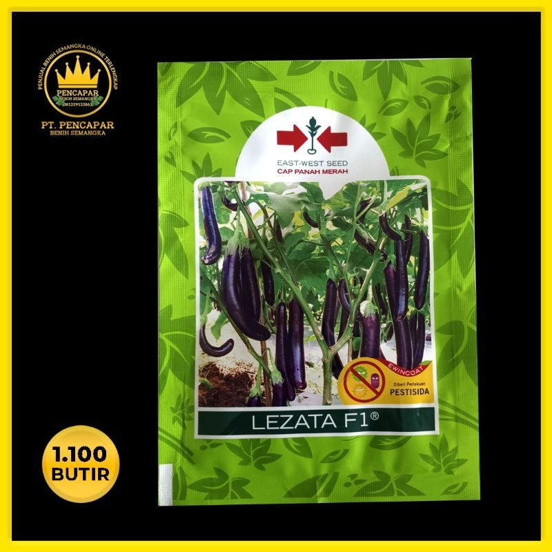 Benih terong ungu panjang LEZATA F1