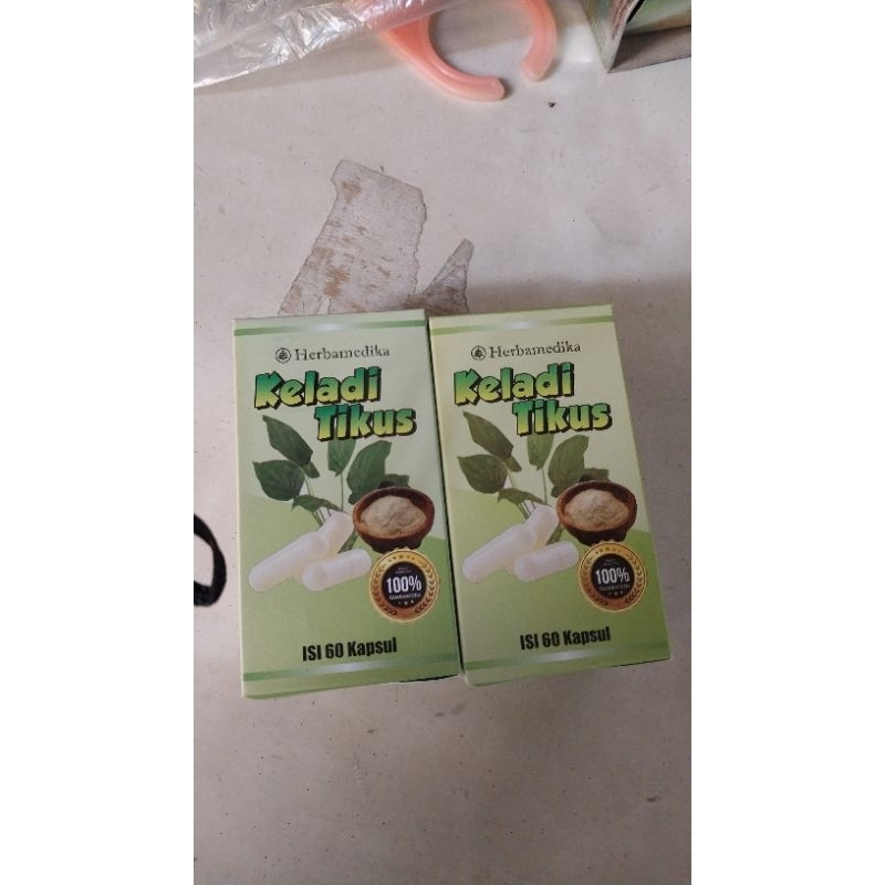 kapsul keladi tikus