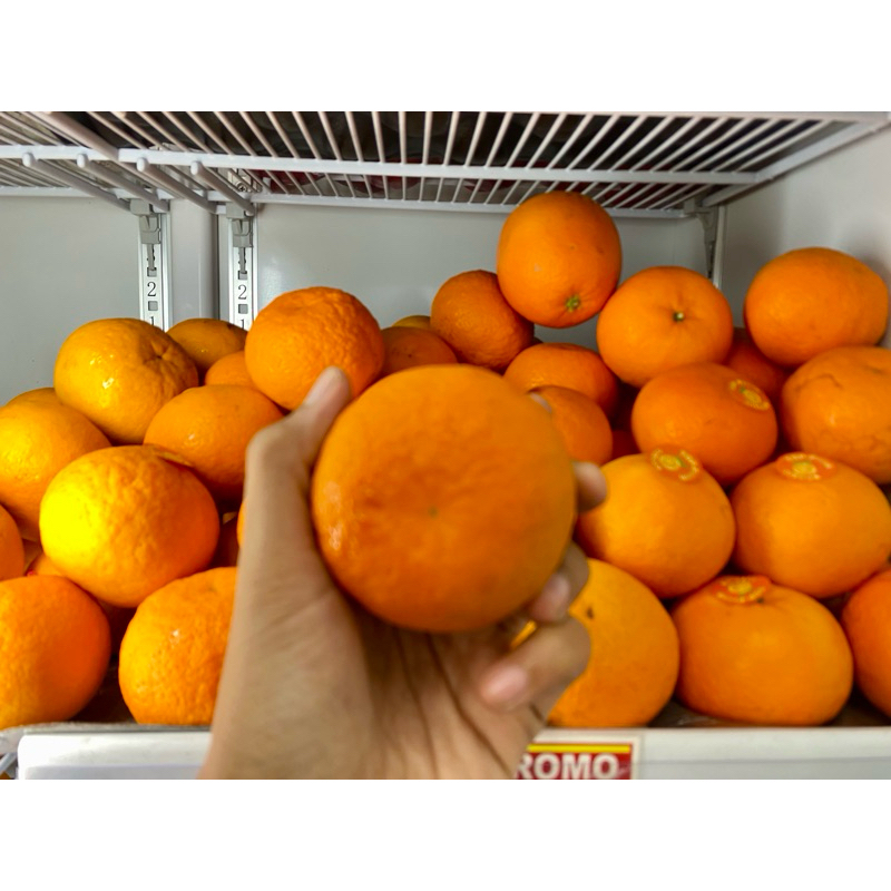 

jeruk mandarin murcot