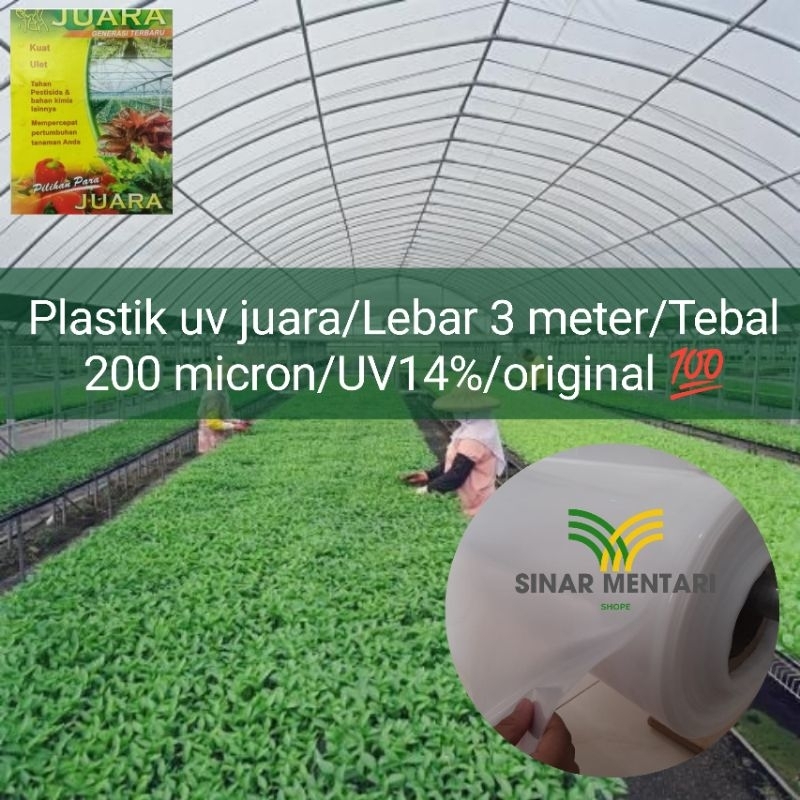 plastik uv juara tebal 200 micron lebar 3 meter uv14%