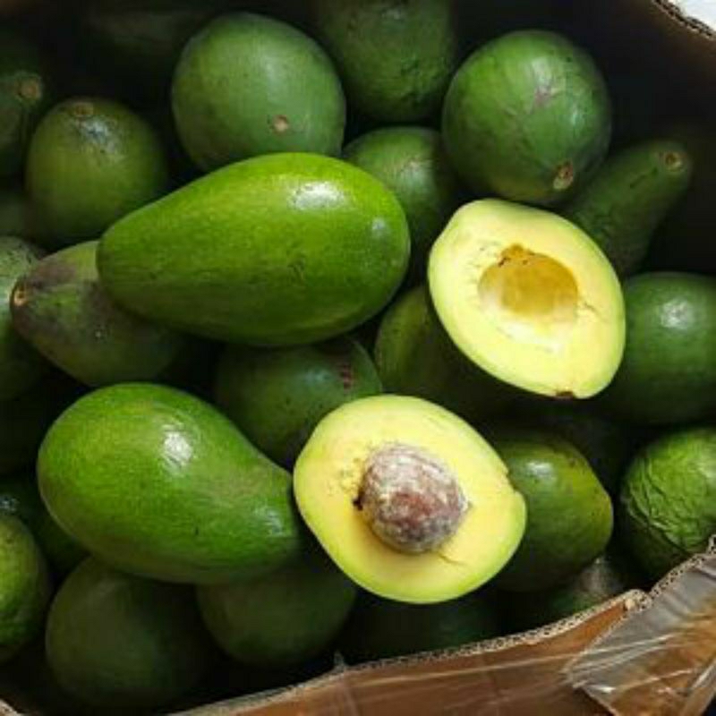 

buah - alpukat mentega 1kg by pasar Tasik online