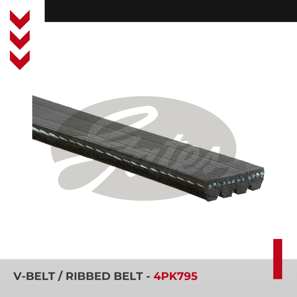 Gates V Belt GENIO/FERIO [PS] / V-Belt 4PK795 Van Belt Mobil