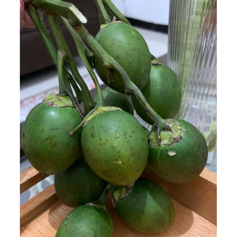 

Buah pinang muda (BIJIAN)
