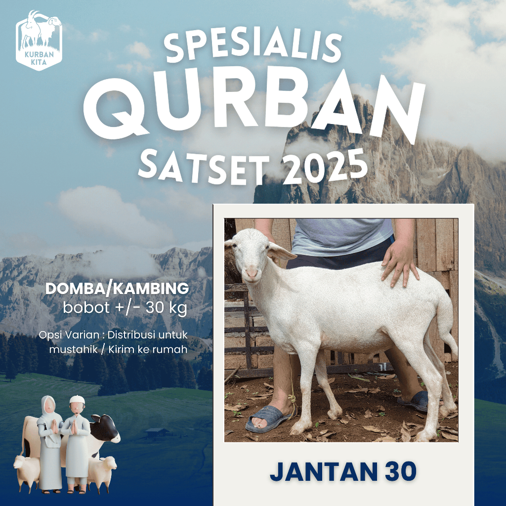 

Hewan Qurban Kambing Domba Qurban Kurban Hidup Bobot 30kg Kirim Qurban Kita