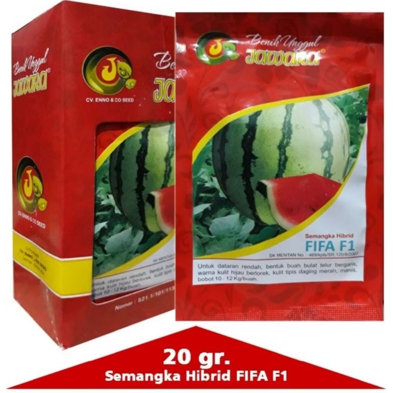 

BENIH SEMANGKA BULAT HIBRIDA F1 VARIETAS FIFA [20 gr]