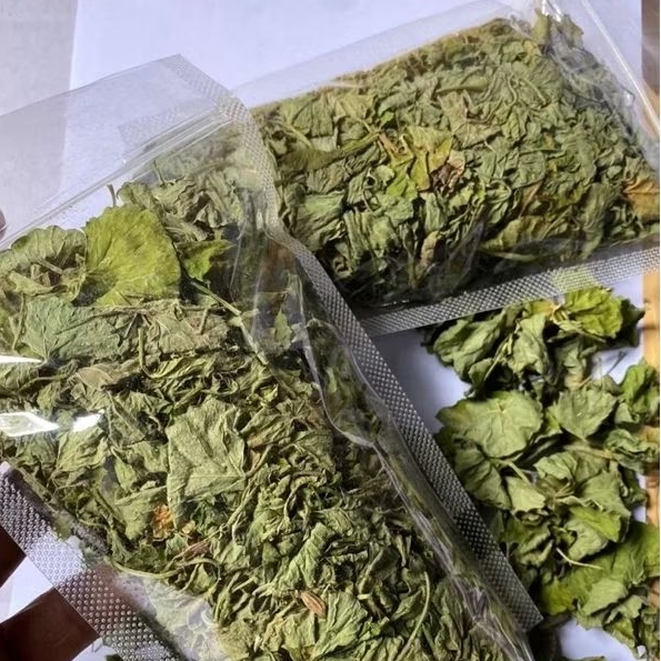 

Daun Pegagan/Antanan Kering 250gr Asli Herbal Alami