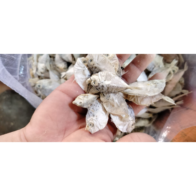 

aneka ikan asin