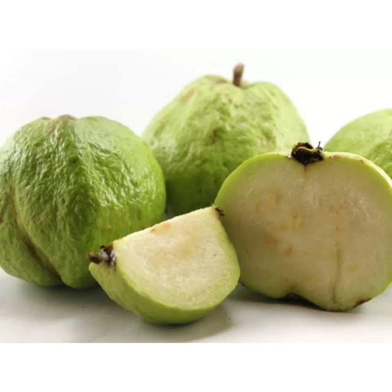 

Buah Jambu Batu - Jambu Kristal Segar 500 gram