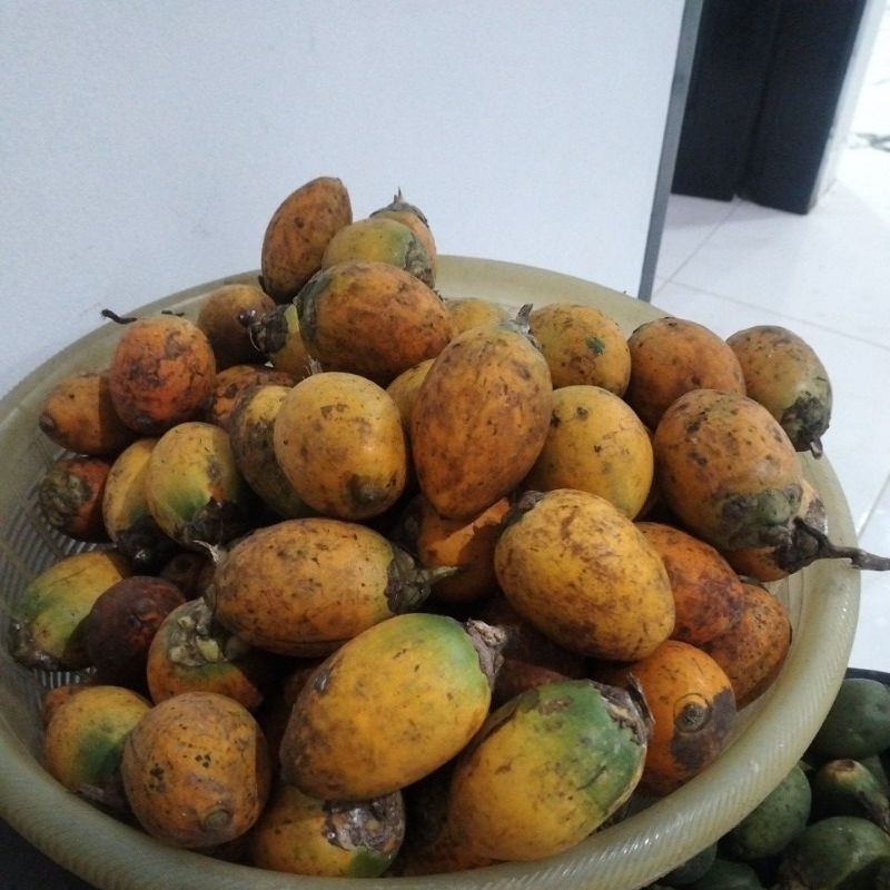 

BUAH PINANG TUA 2 BIJI 500