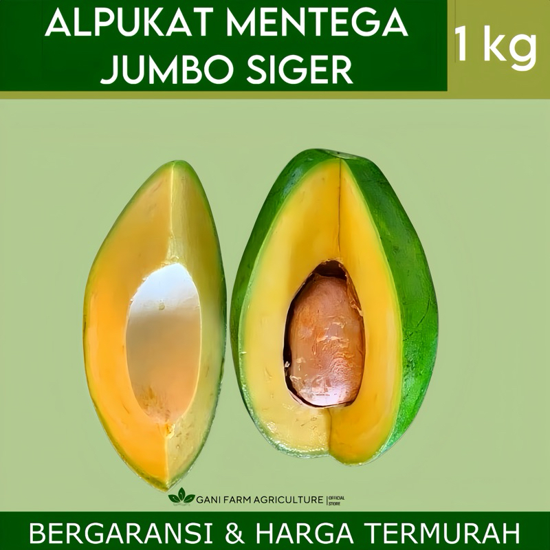 

ALPUKAT MENTEGA SIGER (LANGKA) 1 KG BERGARANSI. ISI 2-3