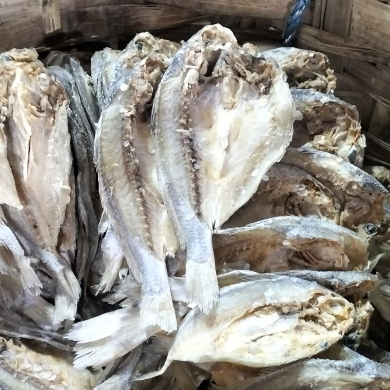 

ikan asin belah - ikan kepala dua - ikan kering - ikan khas Madura - ikan goreng